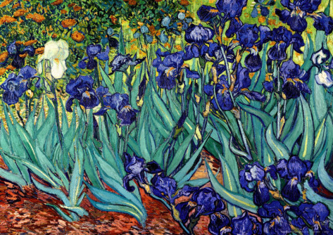 Irises, Saint-Remy - Van Gogh Painting On Canvas